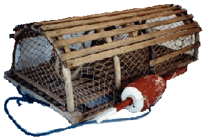 Half-Round Lobster Trap